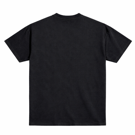 Argentina World Cup Graphic T-Shirt