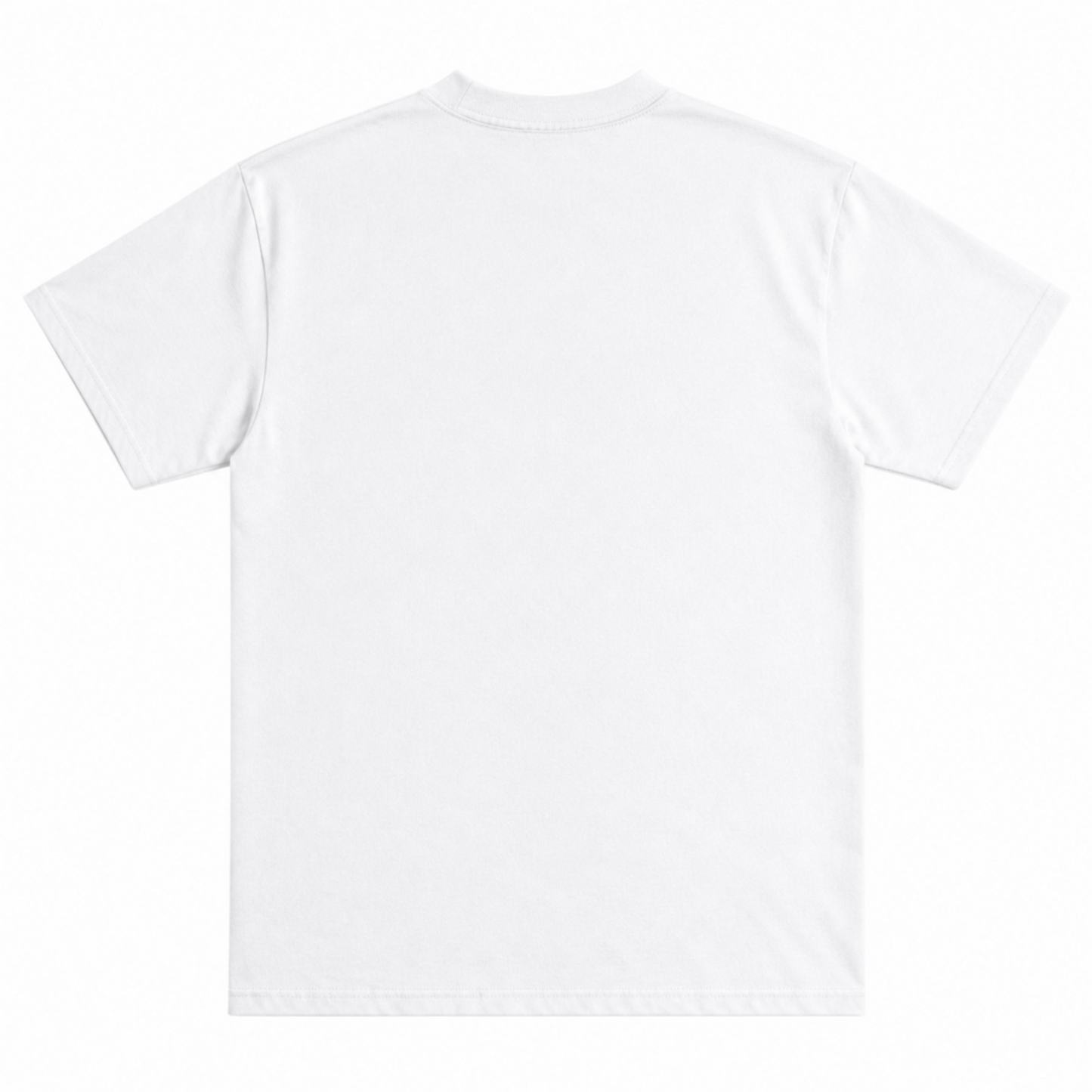 ASAP Rocky Exclusive Graphic T-Shirt | CIPHERERROR